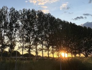 Alameda del Valcorba