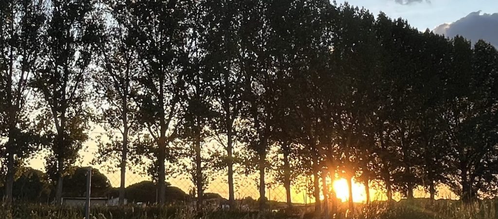 Atardecer